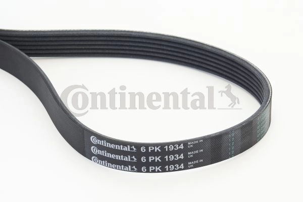 V-ribbed Belt